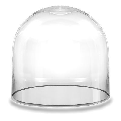 12" Decorative Glass Dome Cloche Plant Terrarium Bell Jars