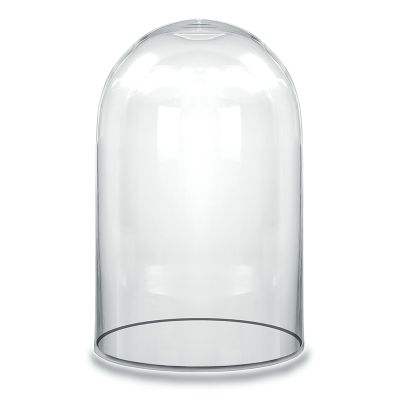 19.5" Decorative Glass Dome Cloche Plant Terrarium Bell Jars