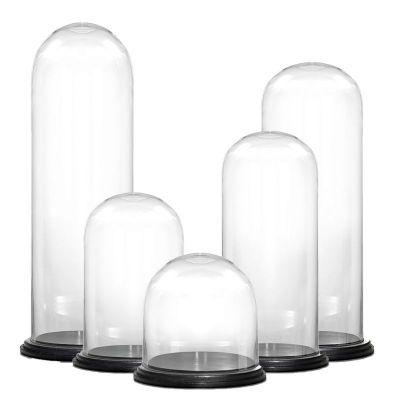 13" Decorative Glass Dome Cloche Plant Terrarium Bell Jars with Wood Base
