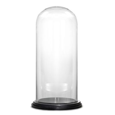 20" Decorative Glass Dome Cloche Plant Terrarium Bell Jars with Wood Base
