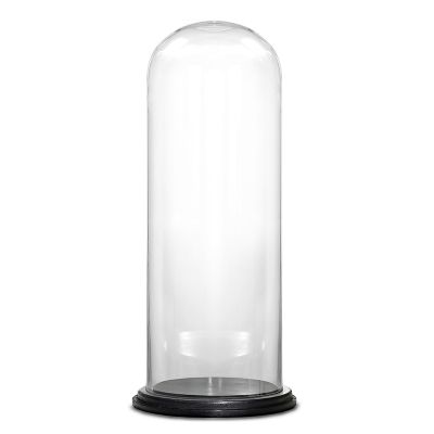 20" Decorative Glass Dome Cloche Plant Terrarium Bell Jars with Wood Base