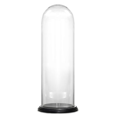 Glass Cloche Display Dome With Black Wood Base (H:29" D:11")