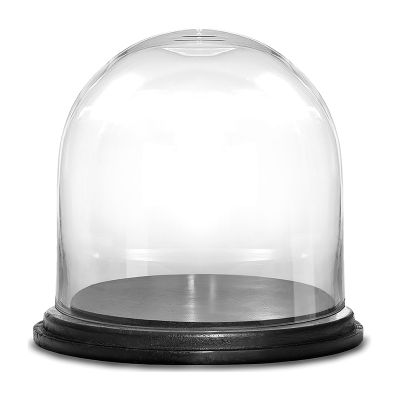 13" Decorative Glass Dome Cloche Plant Terrarium Bell Jars with Wood Base