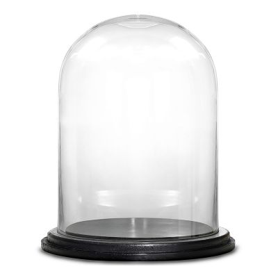 16.5" Decorative Glass Dome Cloche Plant Terrarium Bell Jars with Wood Base