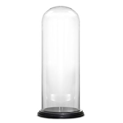 Glass Cloche Display Dome With Black Wood Base (H:28.5" D:13")