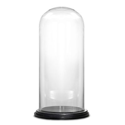 Glass Cloche Display Dome With Black Wood Base (H:25" D:13")