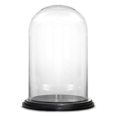 11" Decorative Glass Dome Cloche Plant Terrarium Bell Jars with Wood Base