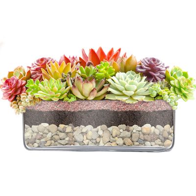 4" Square Glass Wedding Vase with 10"x10" Opening