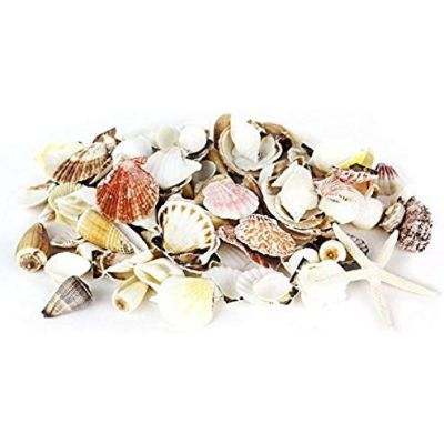 Mixed Shells with Bleached Finger Starfish Bowl Vase Fillers