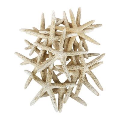 1.25"-2" Multi-Color Natural Sea Urchin Shells Bowl Vase Fillers