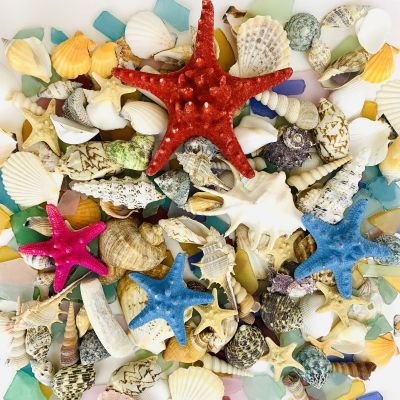 Natural Mixed Shells in Bulseta Bag Bowl Vase Fillers