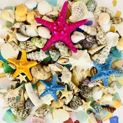 Natural Mixed Shells in Bulseta Bag Bowl Vase Fillers