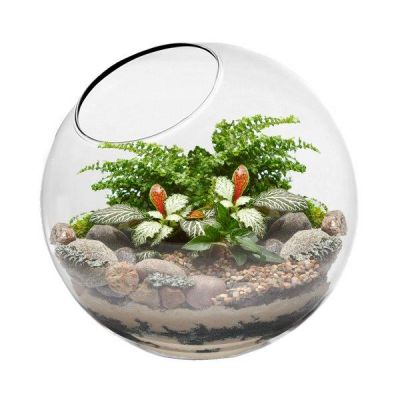 7.75" Glass Plant Terrarium Slop Bubble Bowl
