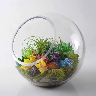 10" Decorative Glass Terrarium Slant Cut Asymmetrical Bubble Bowl