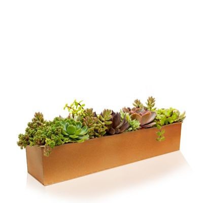 4" Zinc Rose Gold Finish 5"x20" Opening Rectangle Planter