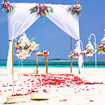 Shop everything for Wedding Parties