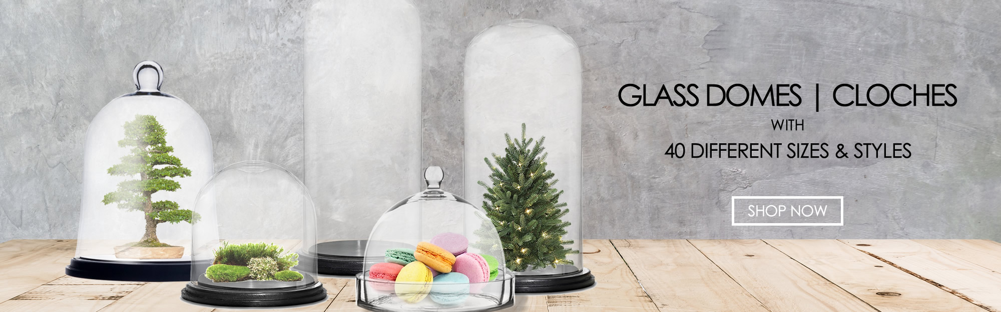 Click to view more glass cloches and domes